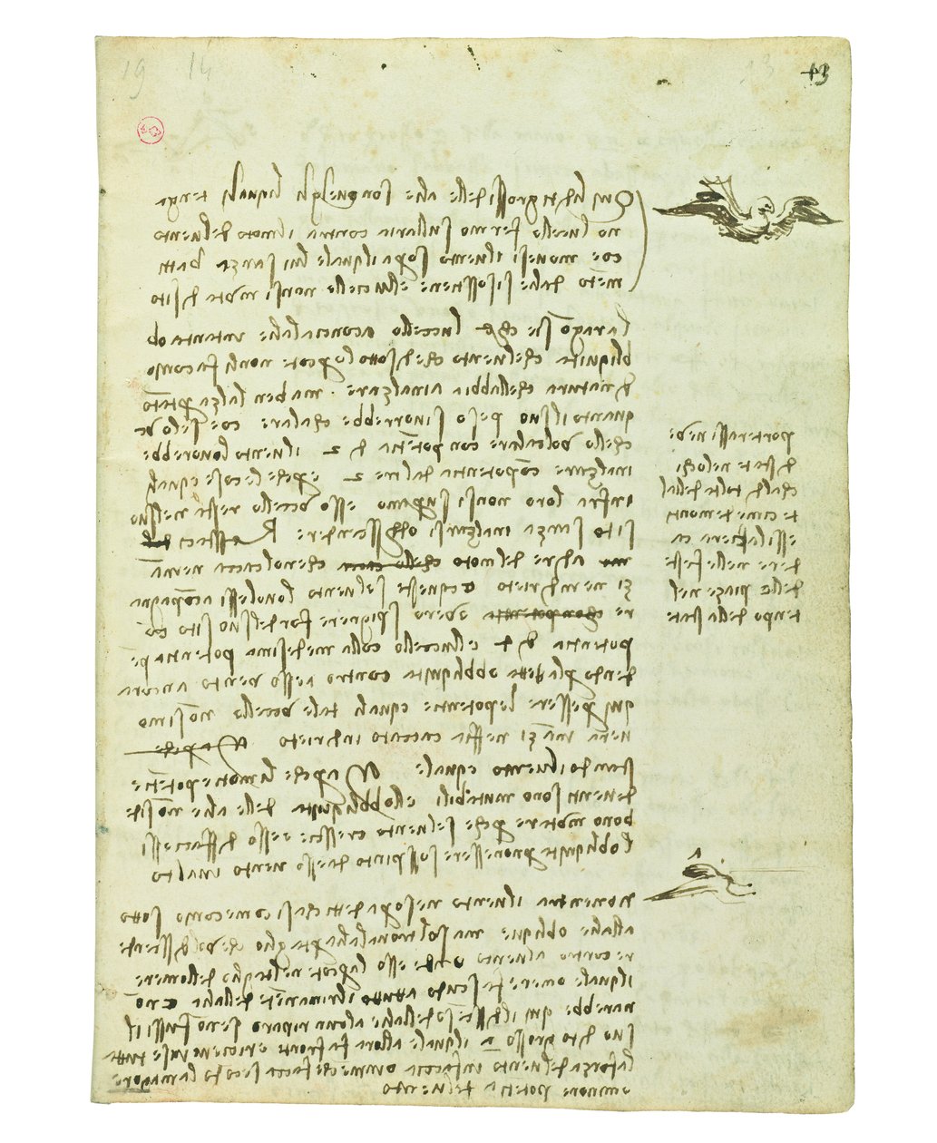 Kuşların uçuşuyla ilgili kodeks, Folio 13 recto by Leonardo da Vinci