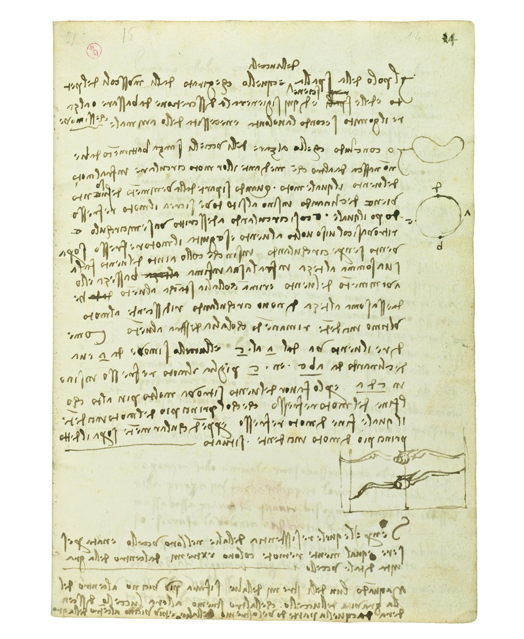 Kuşların uçuşuyla ilgili kodeks, Folio 14 recto by Leonardo da Vinci