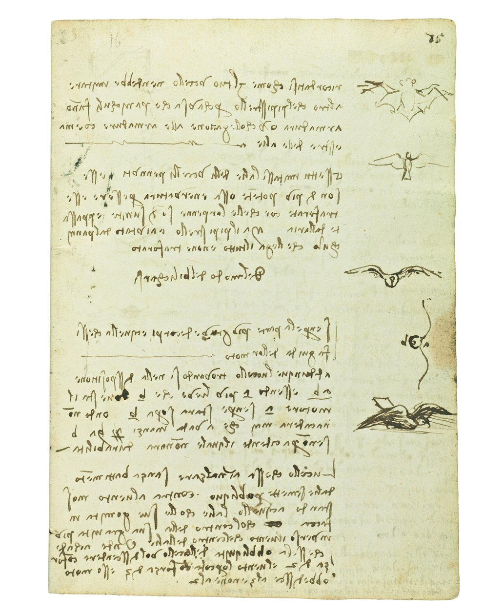 Kuşların uçuşuyla ilgili kodeks, Folio 15 recto by Leonardo da Vinci