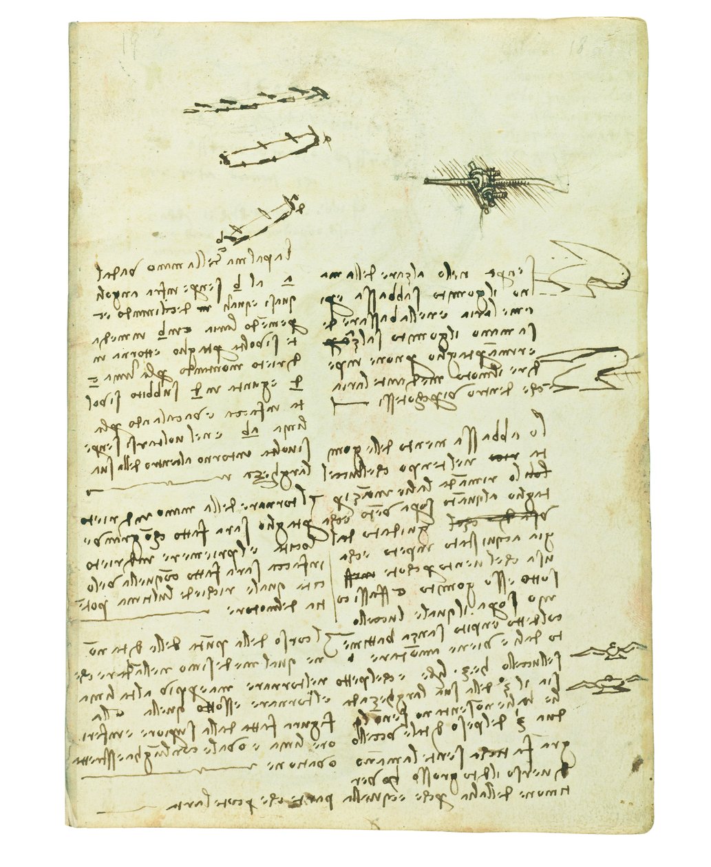Kuşların uçuşuyla ilgili kodeks, Folio 18 recto by Leonardo da Vinci