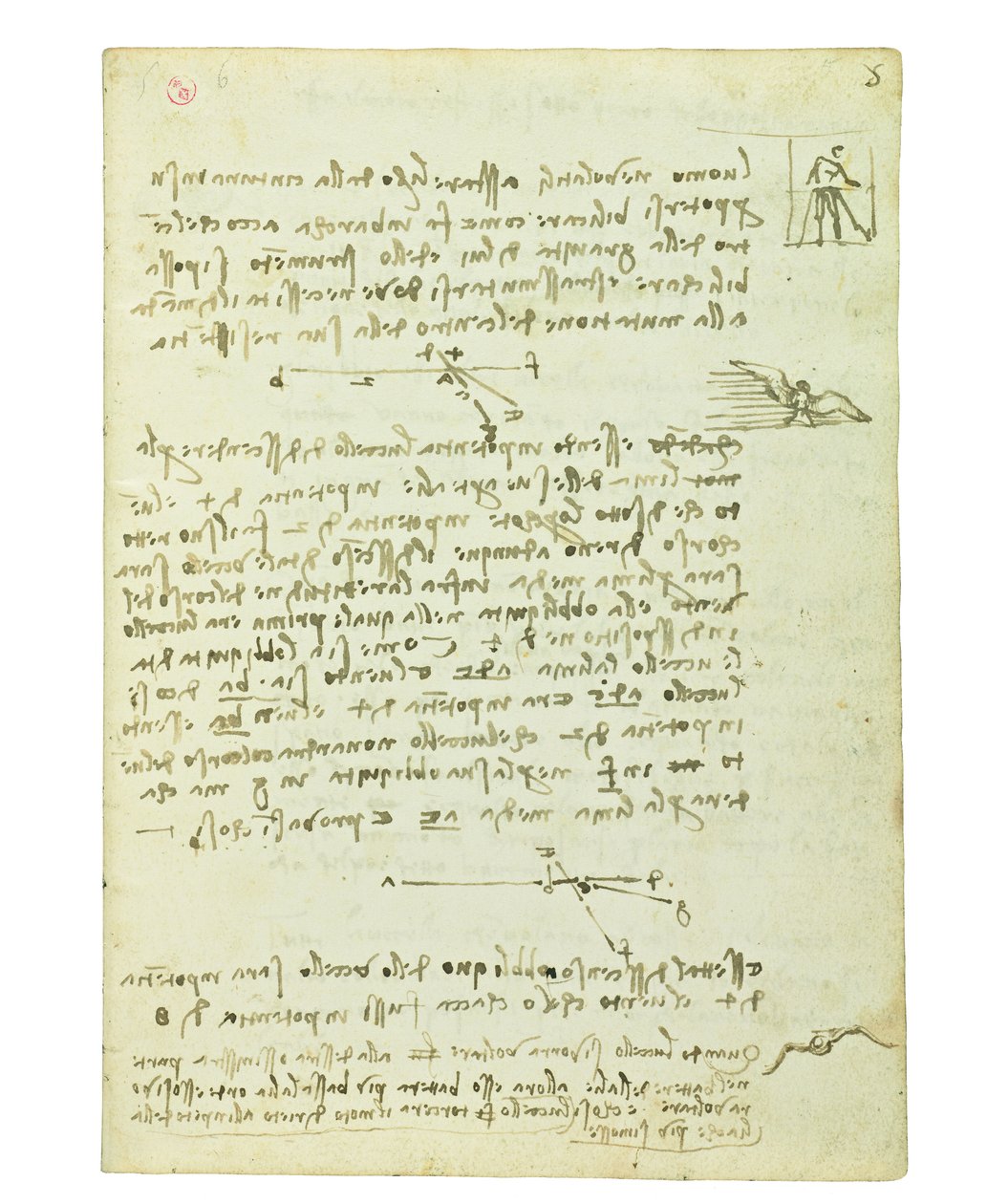 Kuşların uçuşuyla ilgili kodeks, Folio 5 recto by Leonardo da Vinci