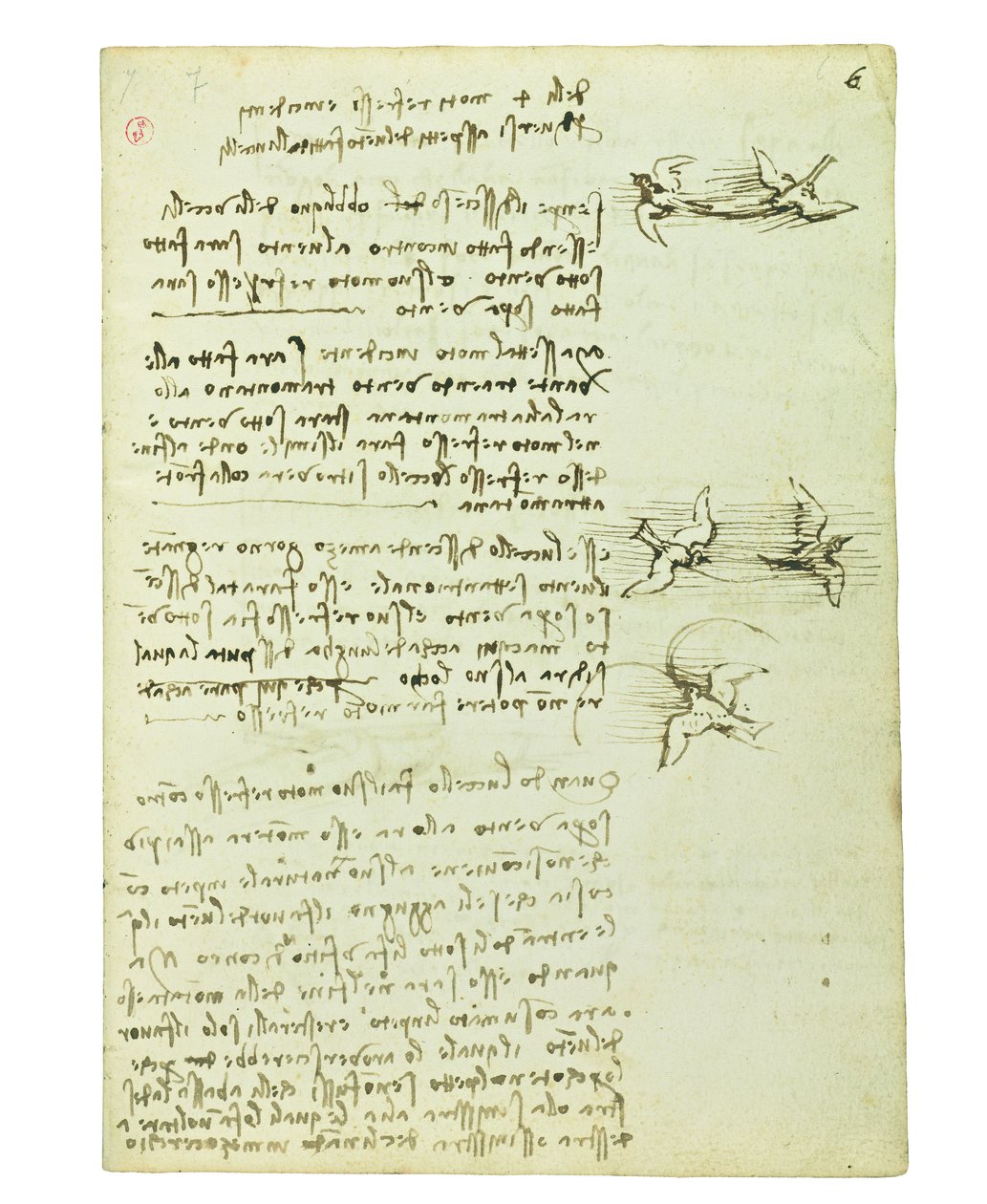 Kuşların uçuşuyla ilgili kodeks, Folio 6 recto by Leonardo da Vinci