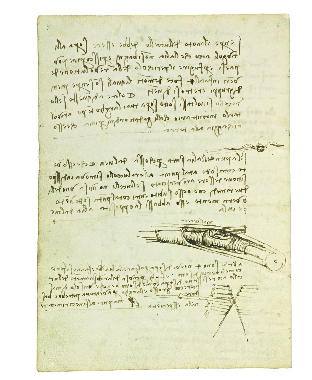 Kuşların uçuşuyla ilgili kodeks, Folio 6 verso by Leonardo da Vinci