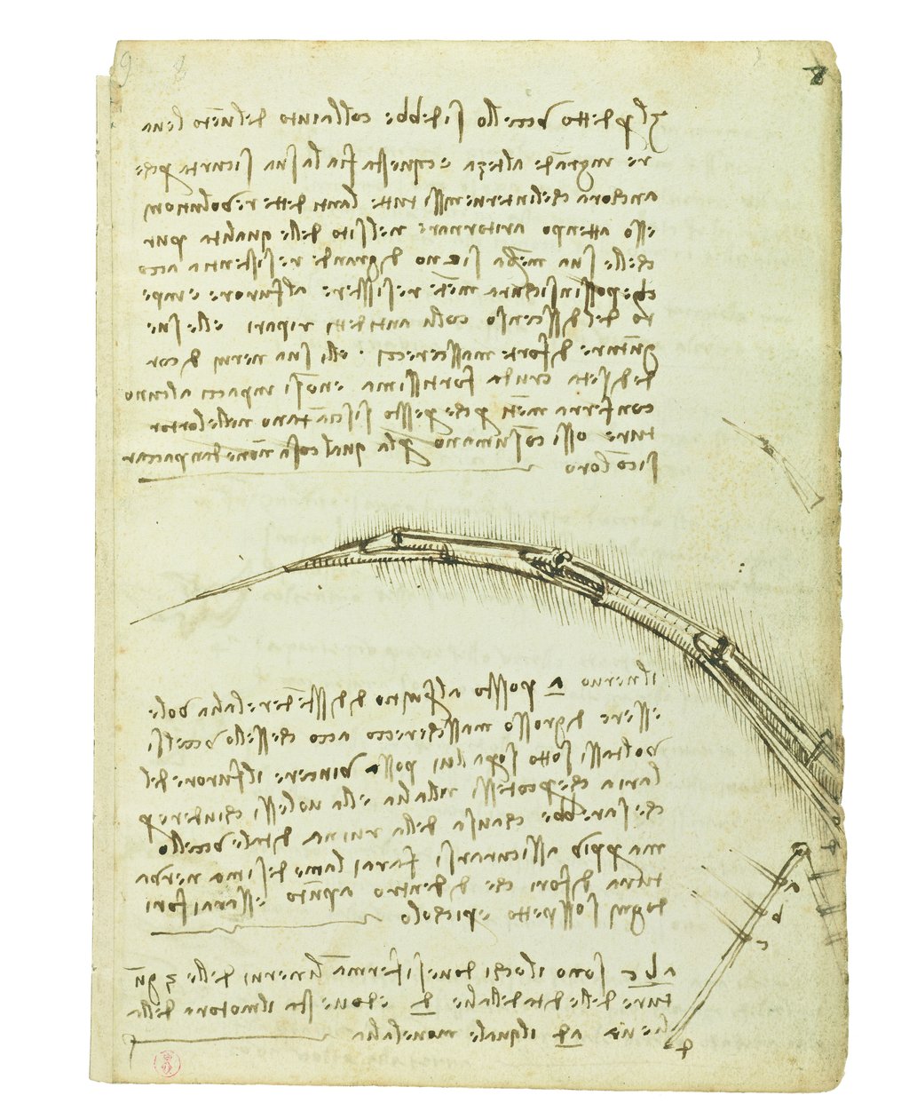 Kuşların uçuşuyla ilgili kodeks, Folio 7 recto by Leonardo da Vinci