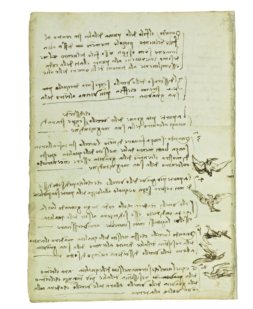 Kuşların uçuşuyla ilgili kodeks, Folio 7 verso by Leonardo da Vinci