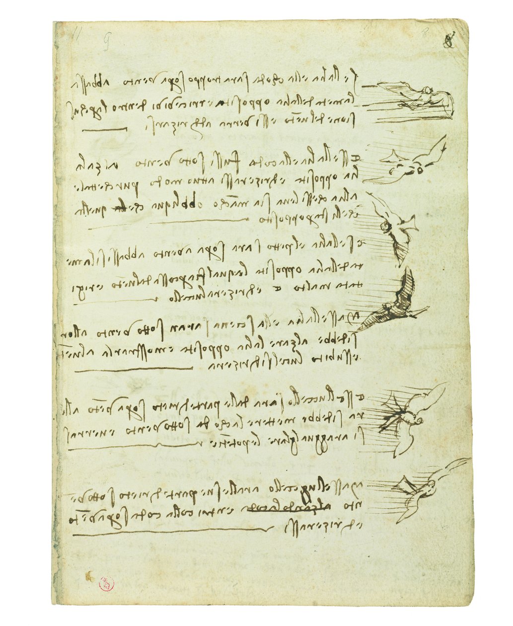 Kuşların uçuşuyla ilgili kodeks, Folio 8 recto by Leonardo da Vinci