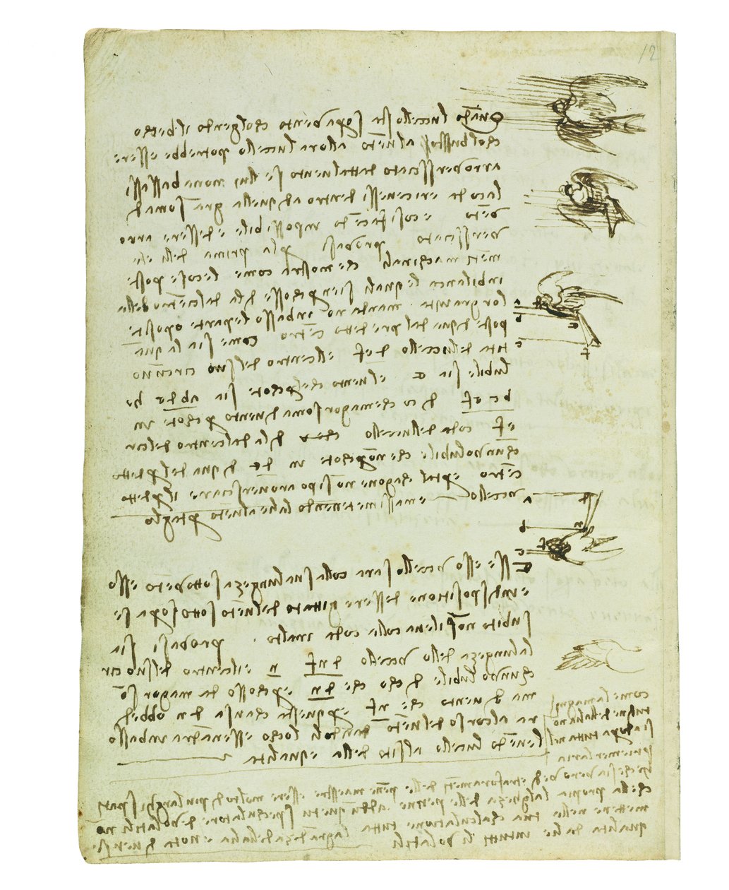 Kuşların uçuşuyla ilgili kodeks, Folio 8 verso by Leonardo da Vinci