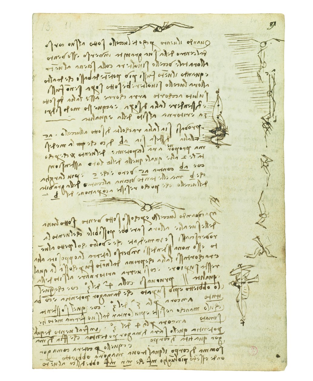 Kuşların uçuşuyla ilgili kodeks, Folio 9 recto by Leonardo da Vinci