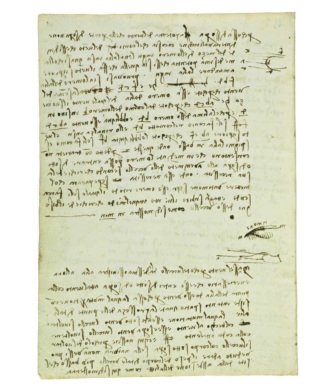 Kuşların uçuşuyla ilgili kodeks, Folio 9 verso by Leonardo da Vinci