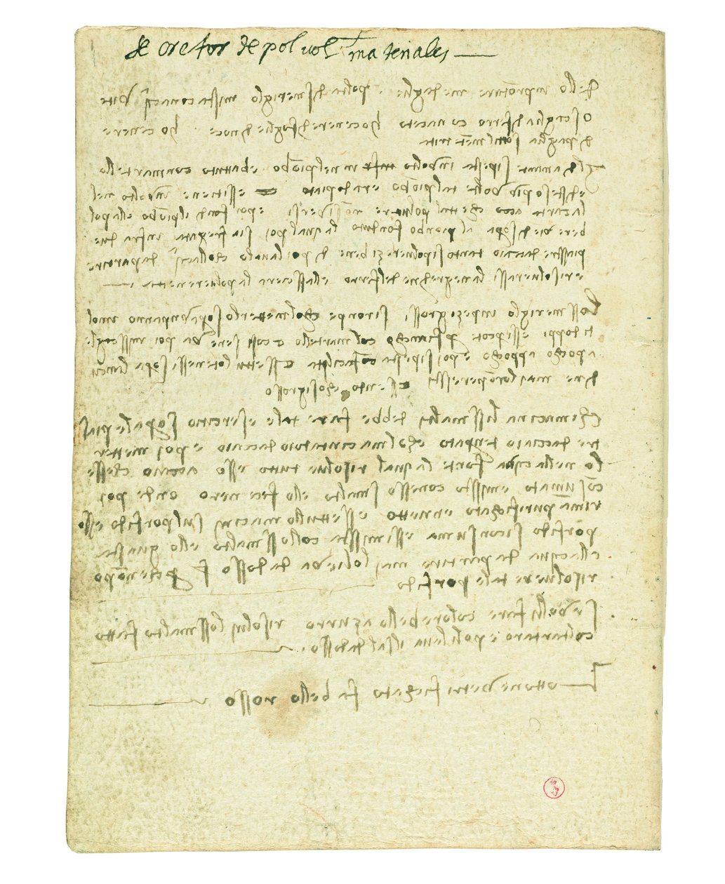 Kuşların uçuşuna ilişkin kodeks, son kağıt II by Leonardo da Vinci