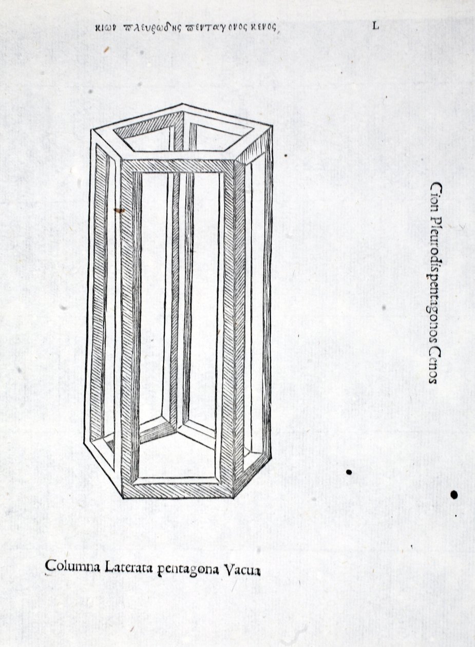 Columna laterata pentagona vacua, illustration from 