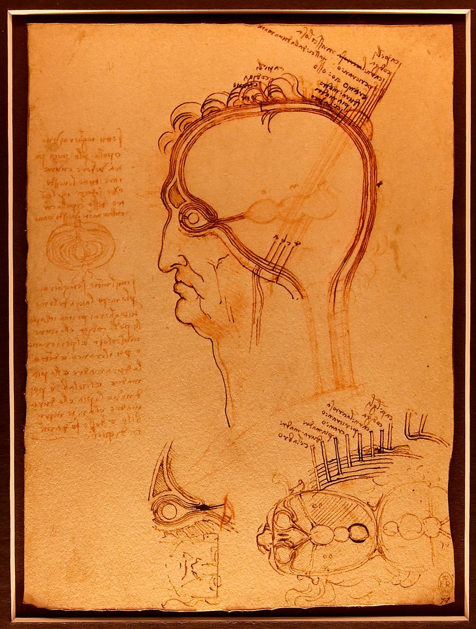 Etüt vinci Luc Viatour by Leonardo da Vinci
