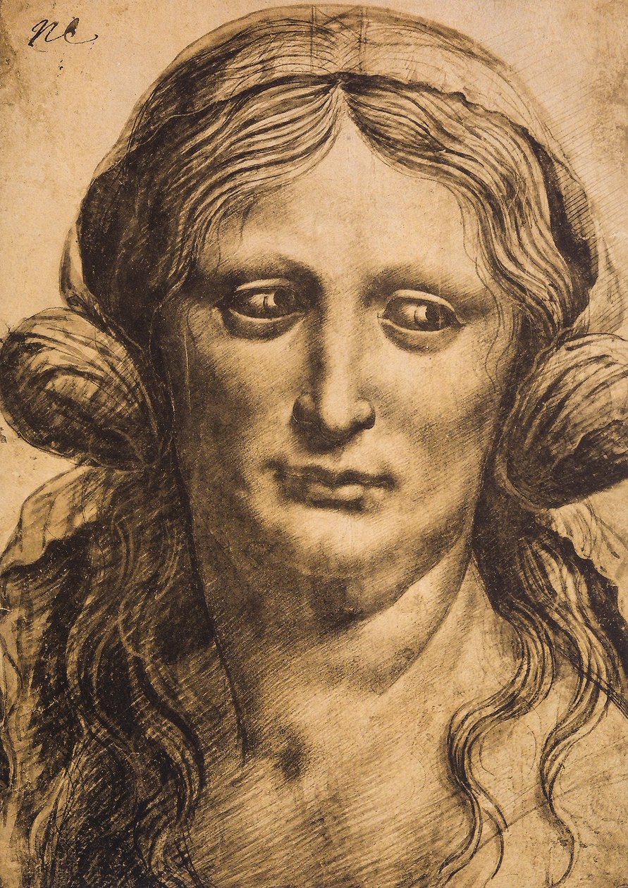 Kadın portresi; Leonardo da Vinci
