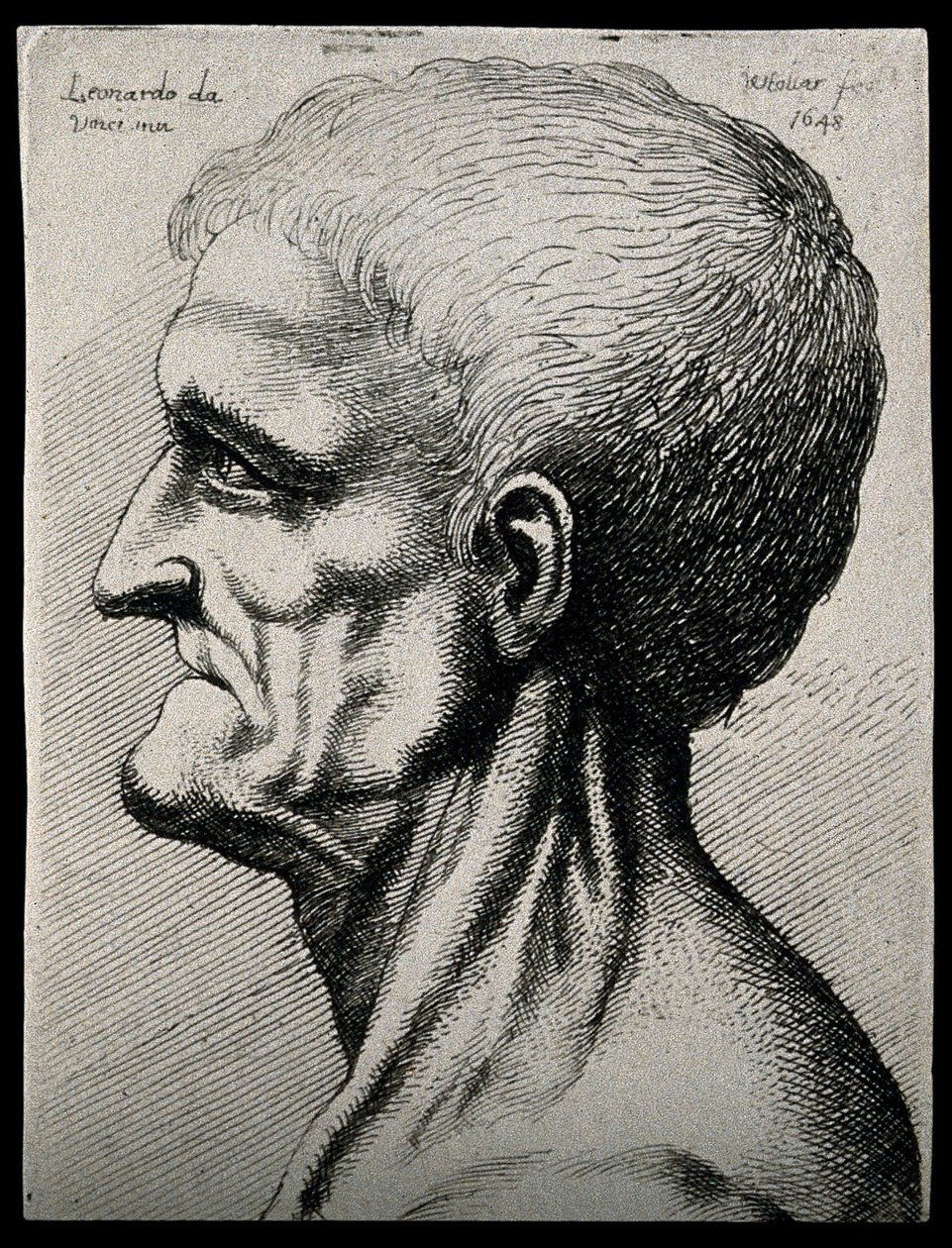 Sol profilde görülen yaşlı bir adamın baş ve boynu by Leonardo da Vinci