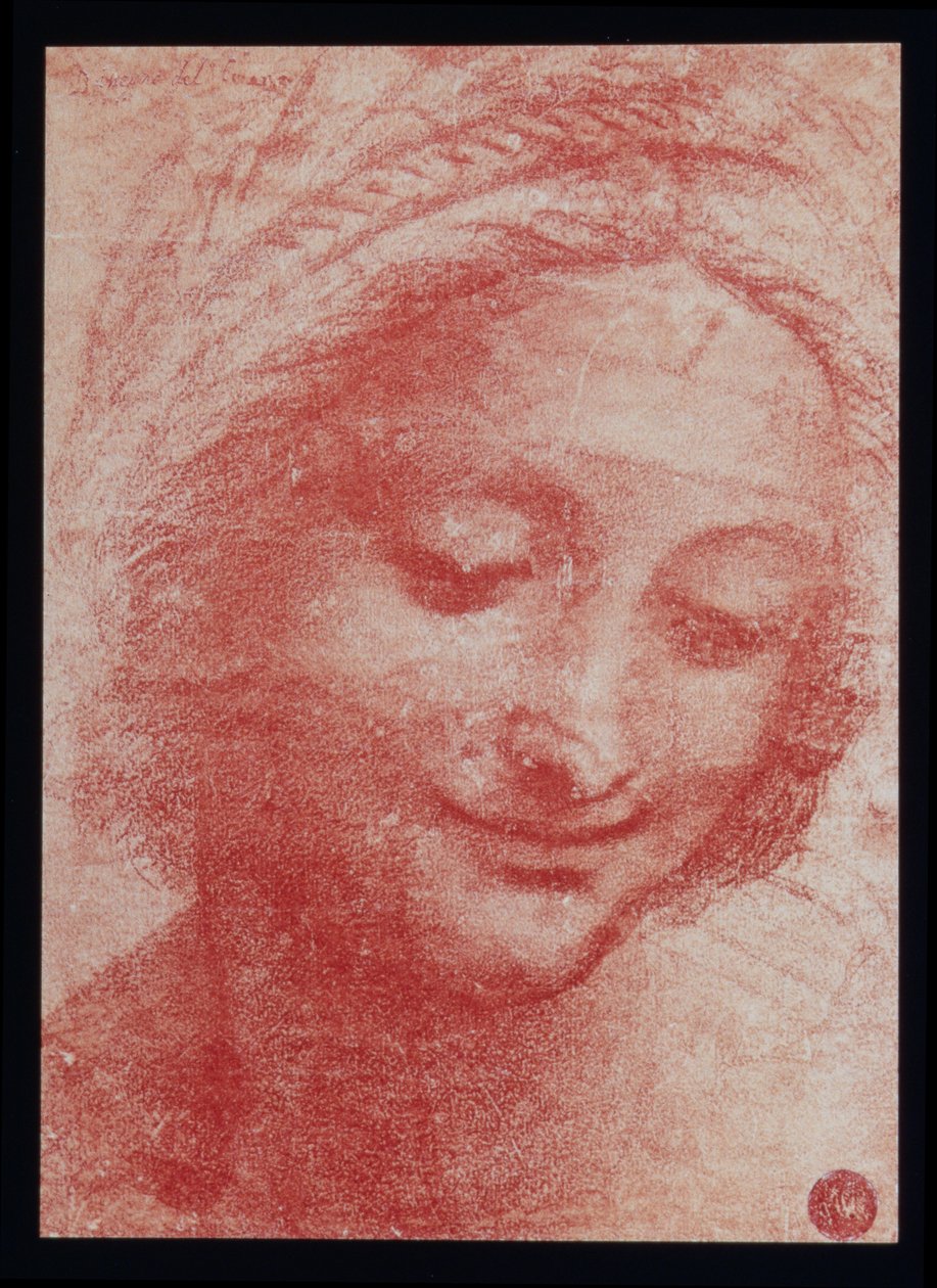 Bir Kadının Başı (kağıt üzerinde karakalem) by Leonardo da Vinci