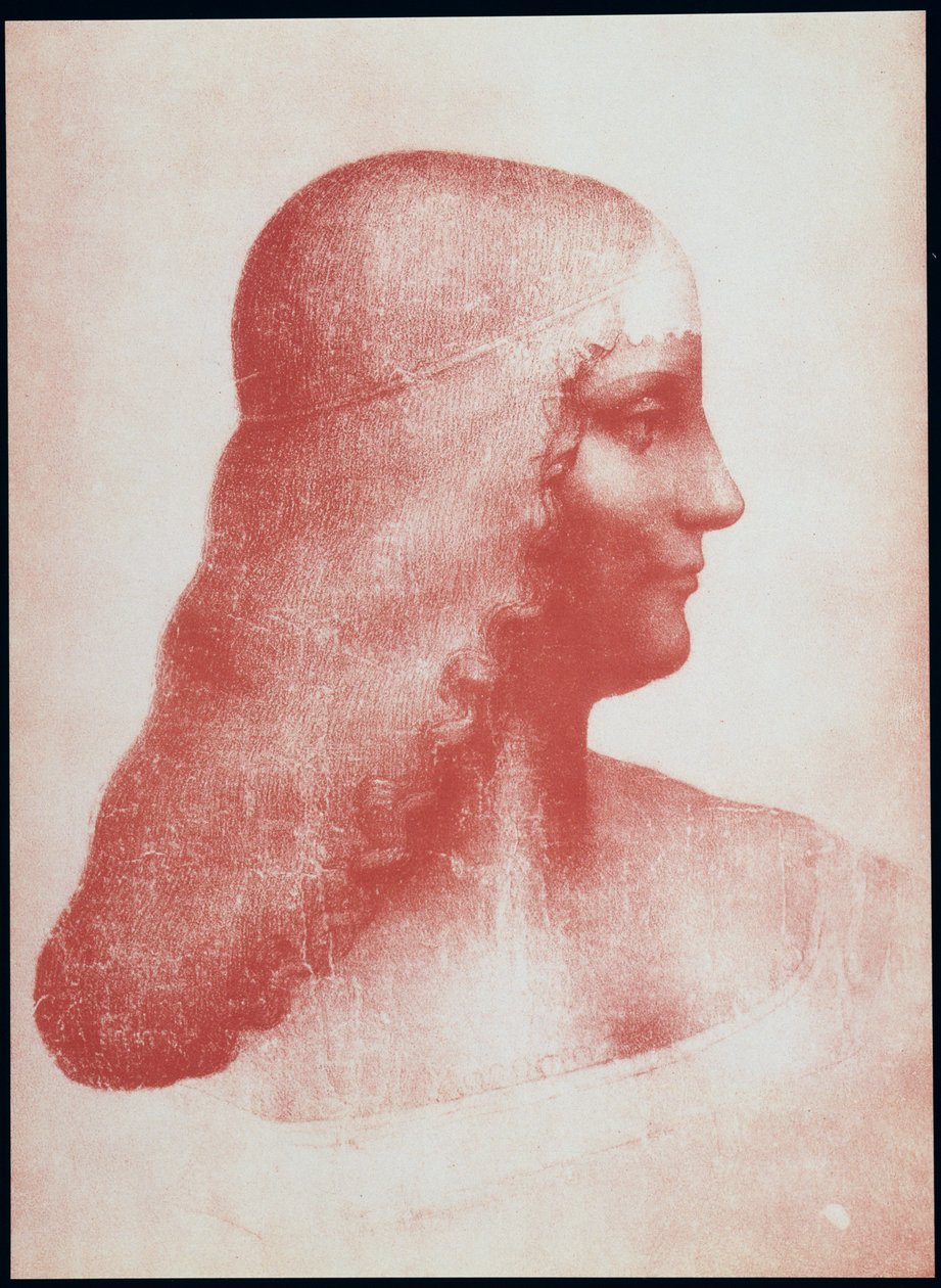 Profildeki Kadın Başkanı (kağıt üzerinde kırmızı tebeşir) by Leonardo da Vinci