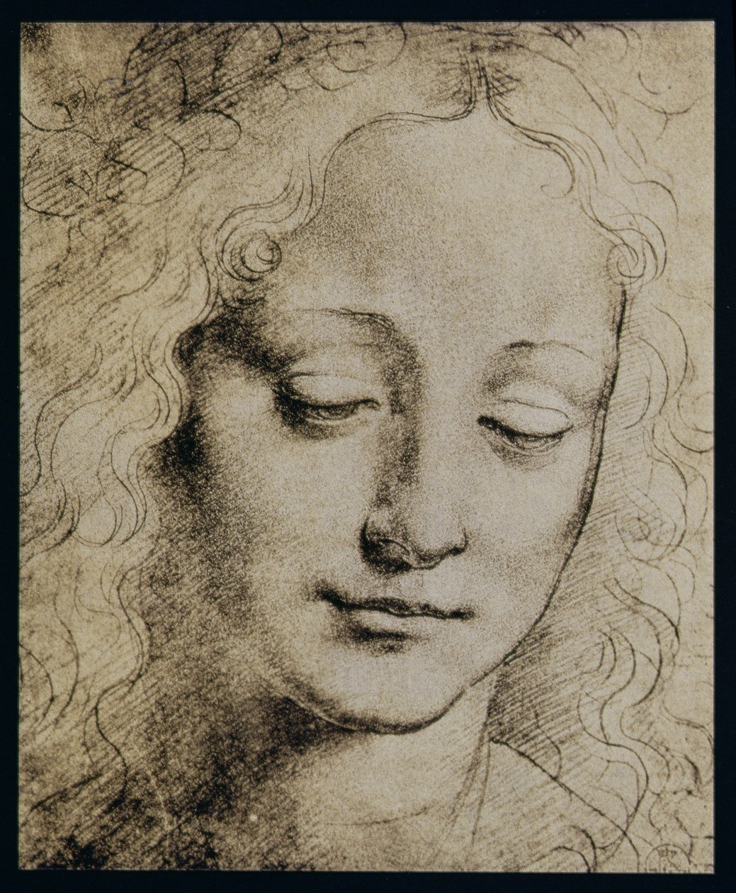 genç bir kızın başı by Leonardo da Vinci