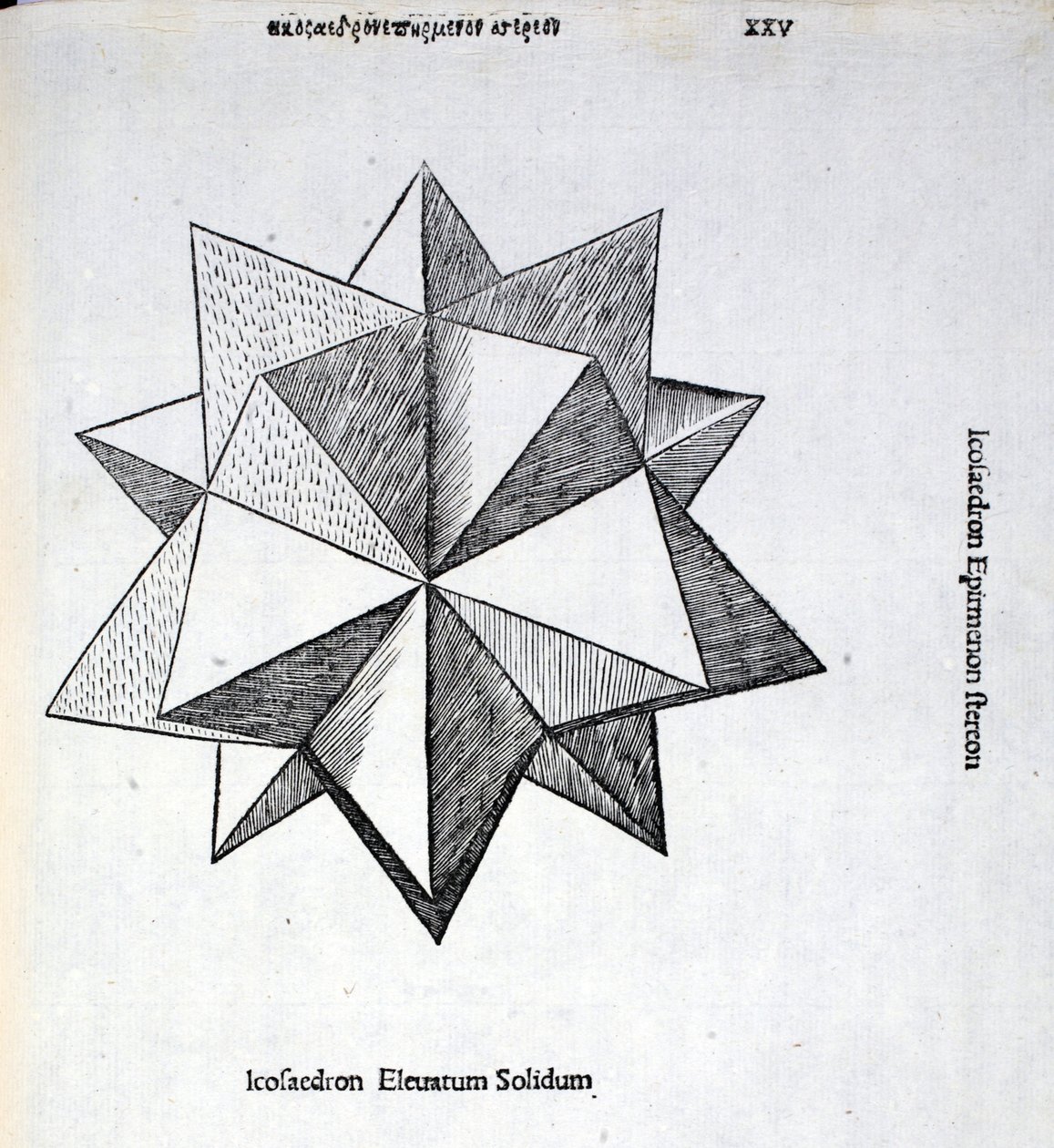 Icosaedron yükseltilmiş solidus, Luca Pacioli