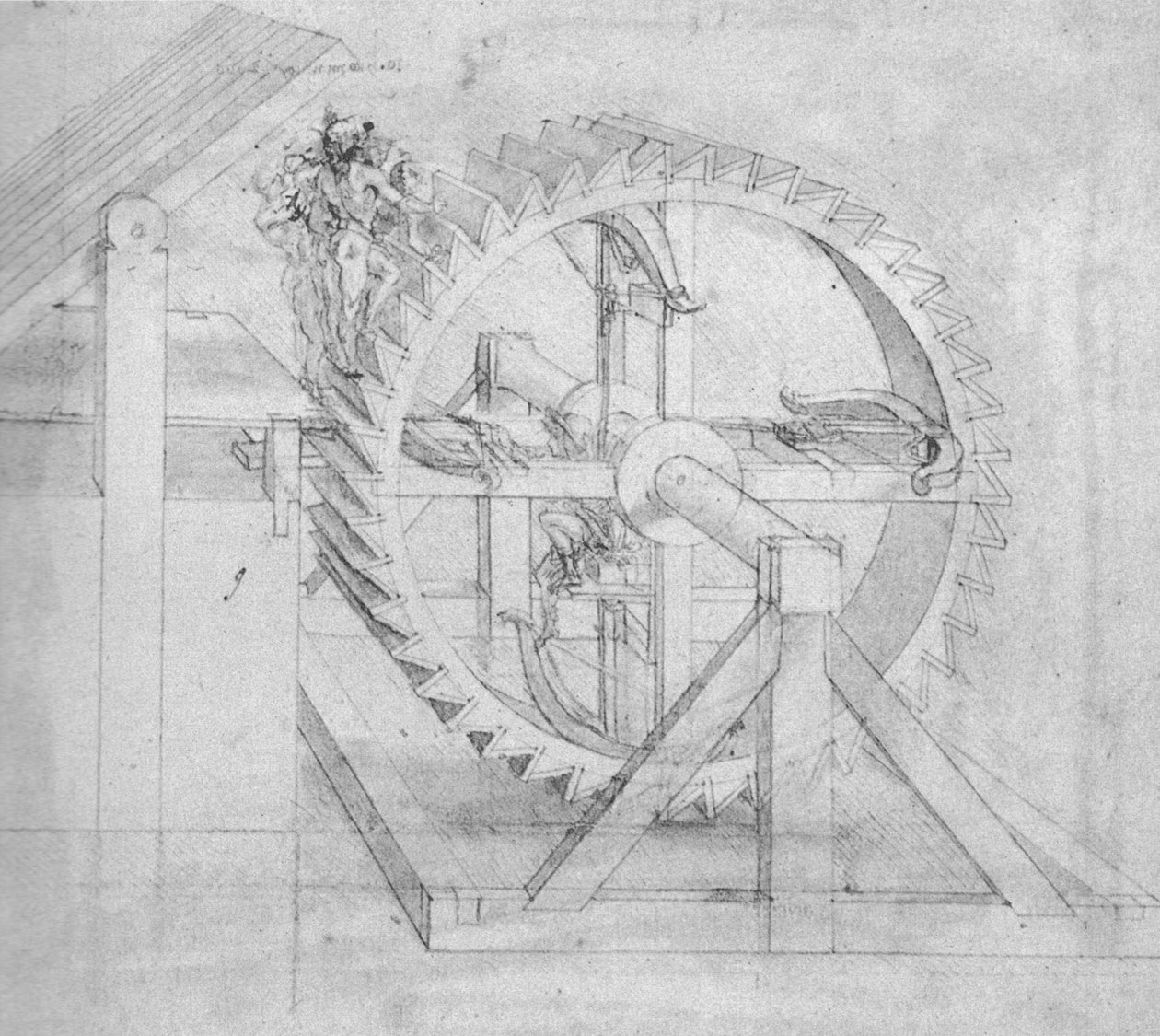 Vites by Leonardo da Vinci