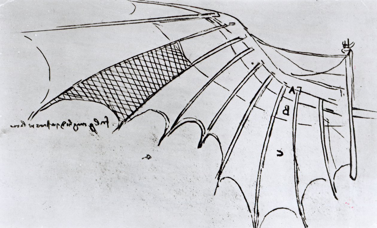 M S B 2173 fol. 74r Kanat eklemleme çalışmaları, 1487-90 by Leonardo da Vinci