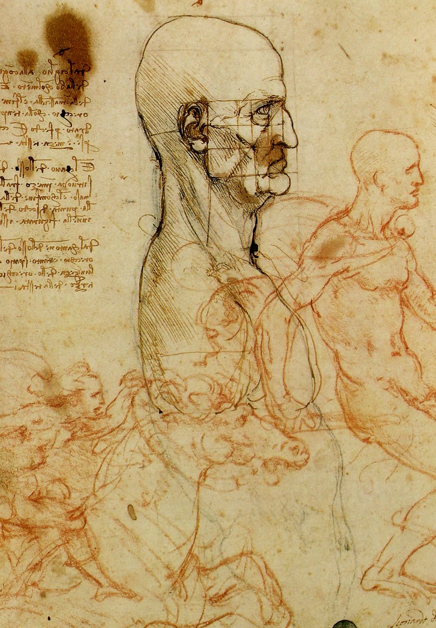 Erkek kafa çalışması by Leonardo da Vinci