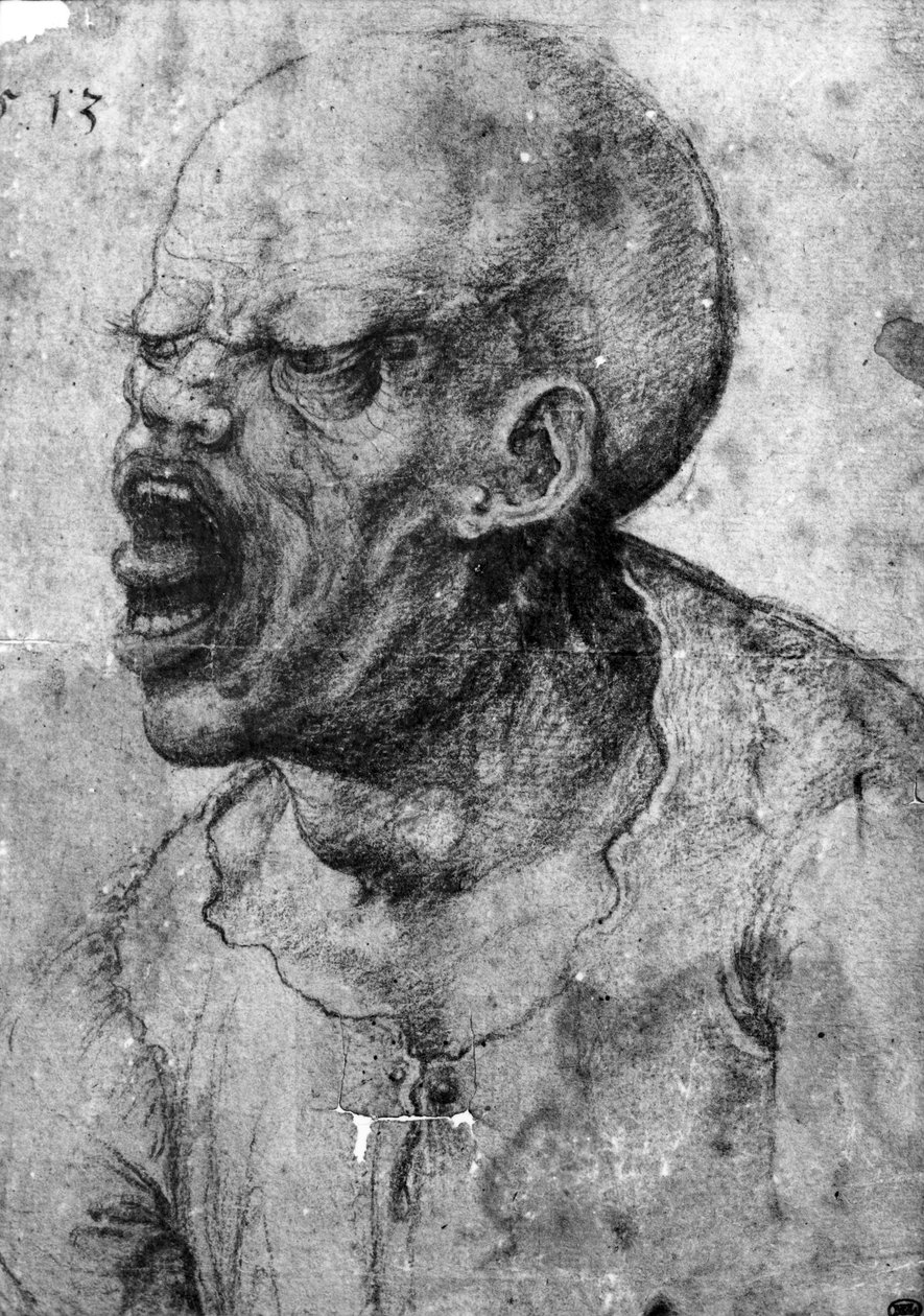 Bağıran Bir Adamın Portresi (kağıt üzerinde kömür) by Leonardo da Vinci
