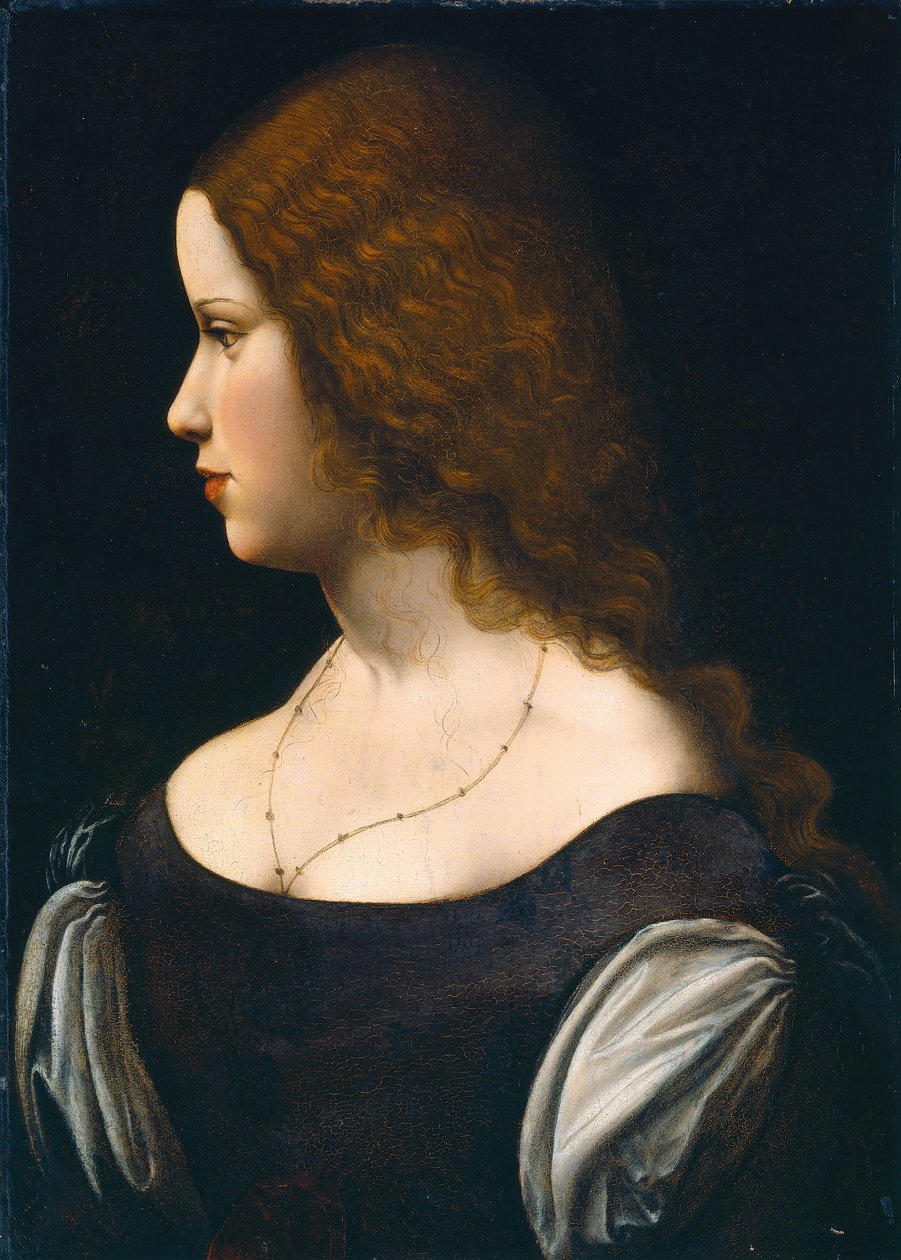 genç bir bayanın portresi by Leonardo da Vinci