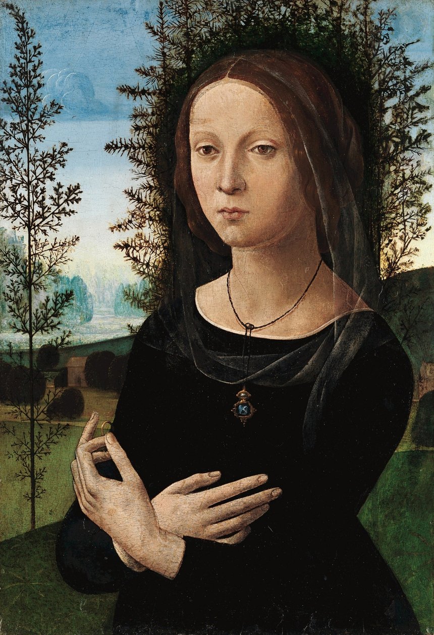 genç bir kadın portresi by Leonardo da Vinci