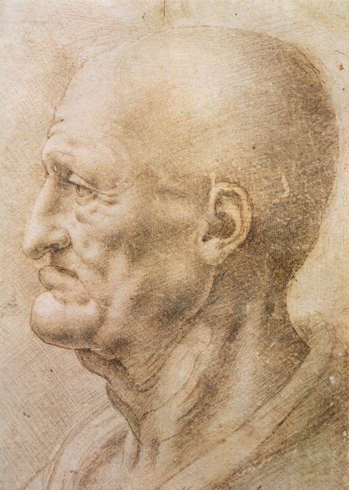 Yaşlı bir adamın profili by Leonardo da Vinci