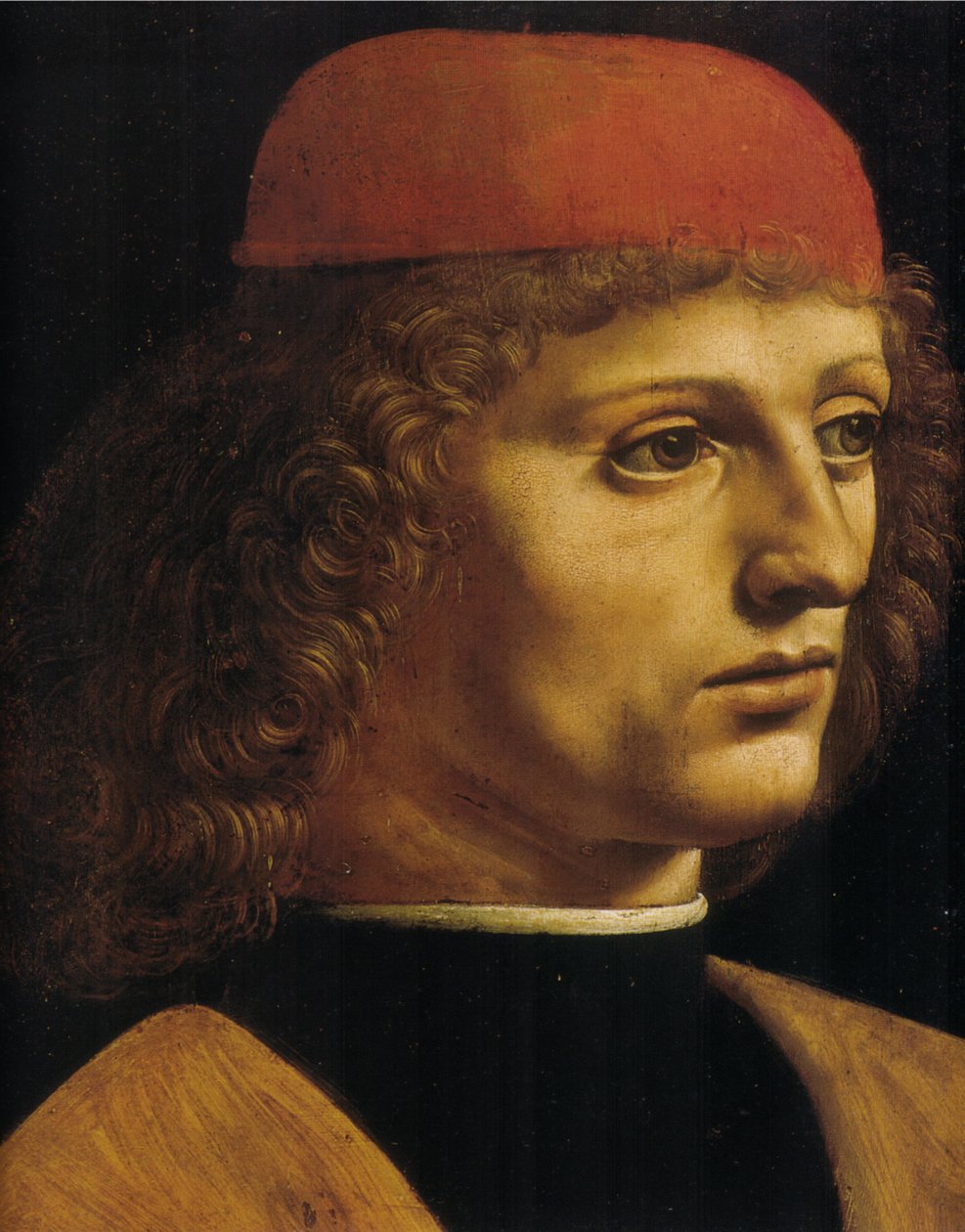 Bir müzisyenin portresi by Leonardo da Vinci