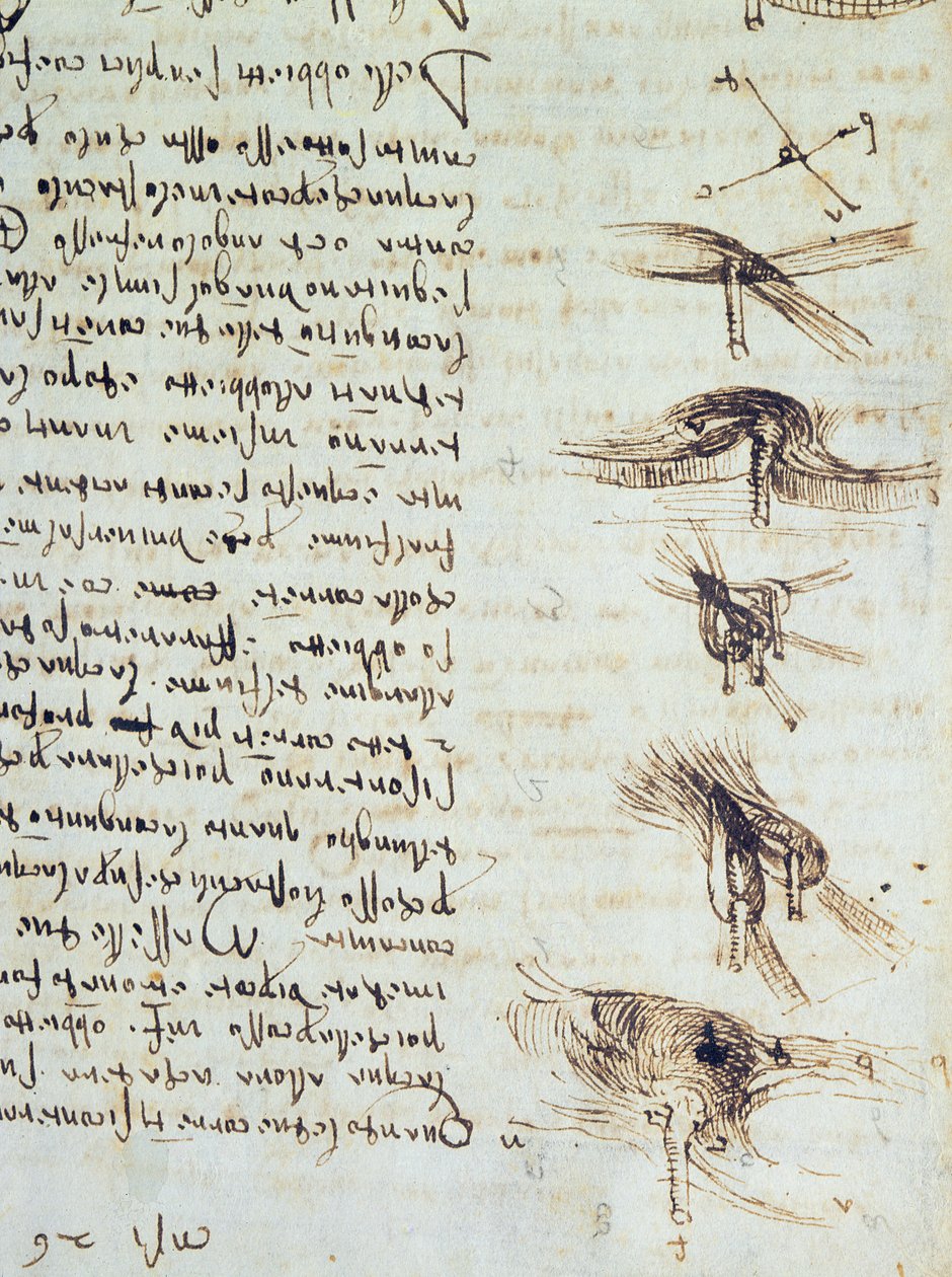 Codex Leicester