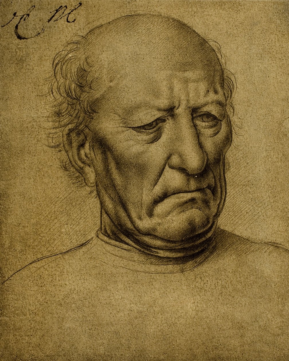 Senil erkek portresi; Leonardo da Vinci