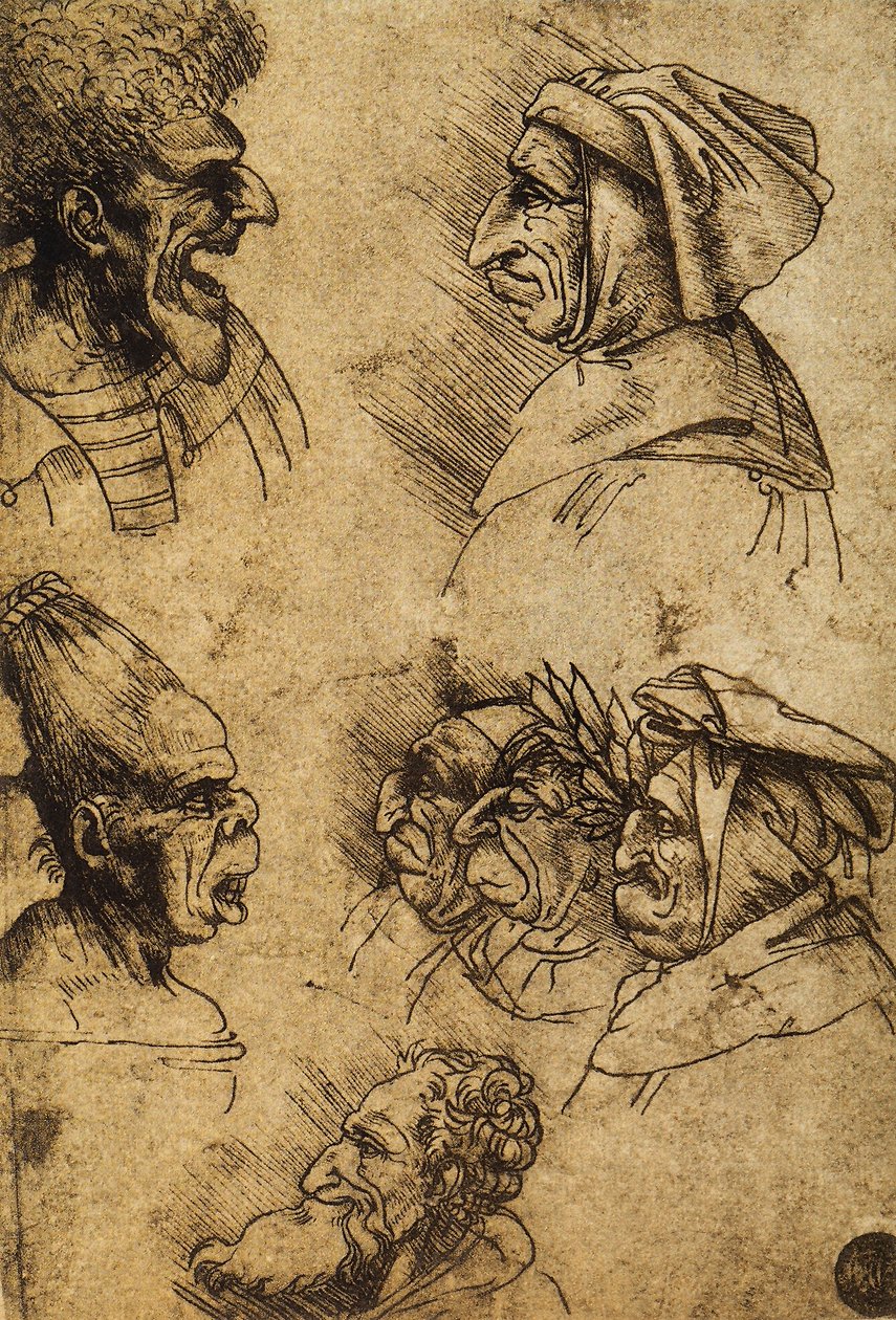 Yedi grotesk kafa; Leonardo da Vinci
