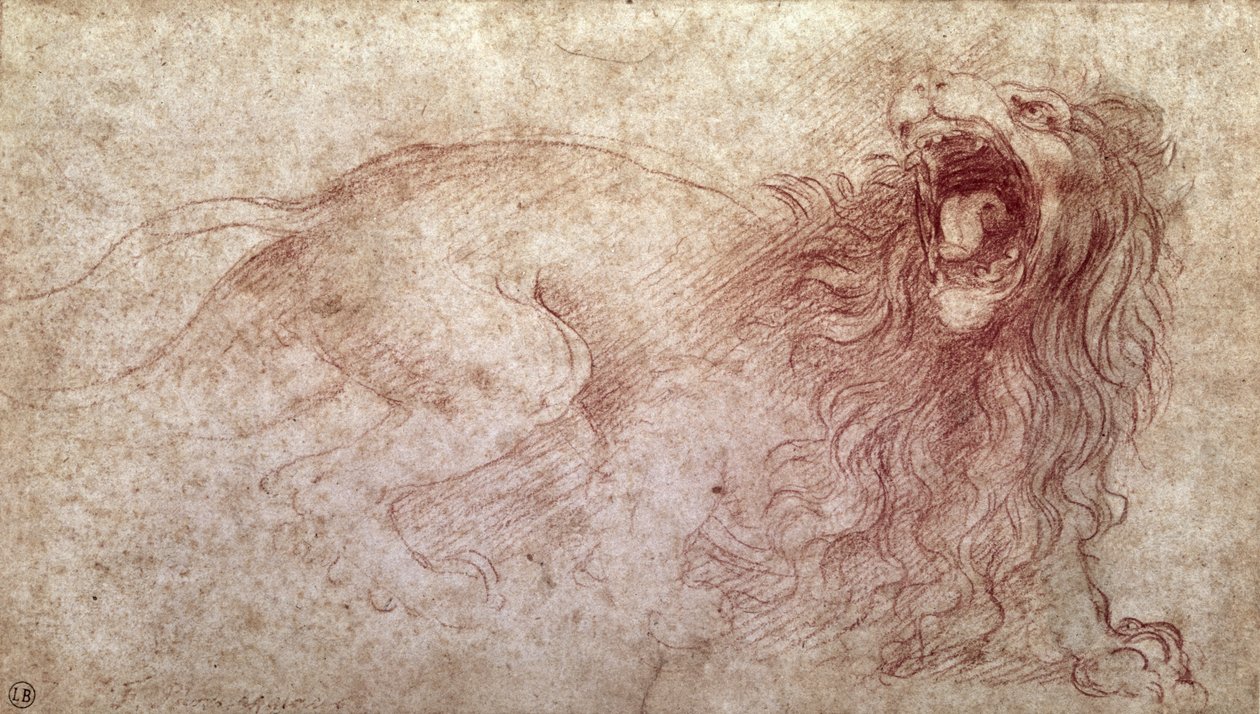 Kükreyen bir aslan çizimi (kağıt üzerinde kırmızı tebeşir) by Leonardo da Vinci