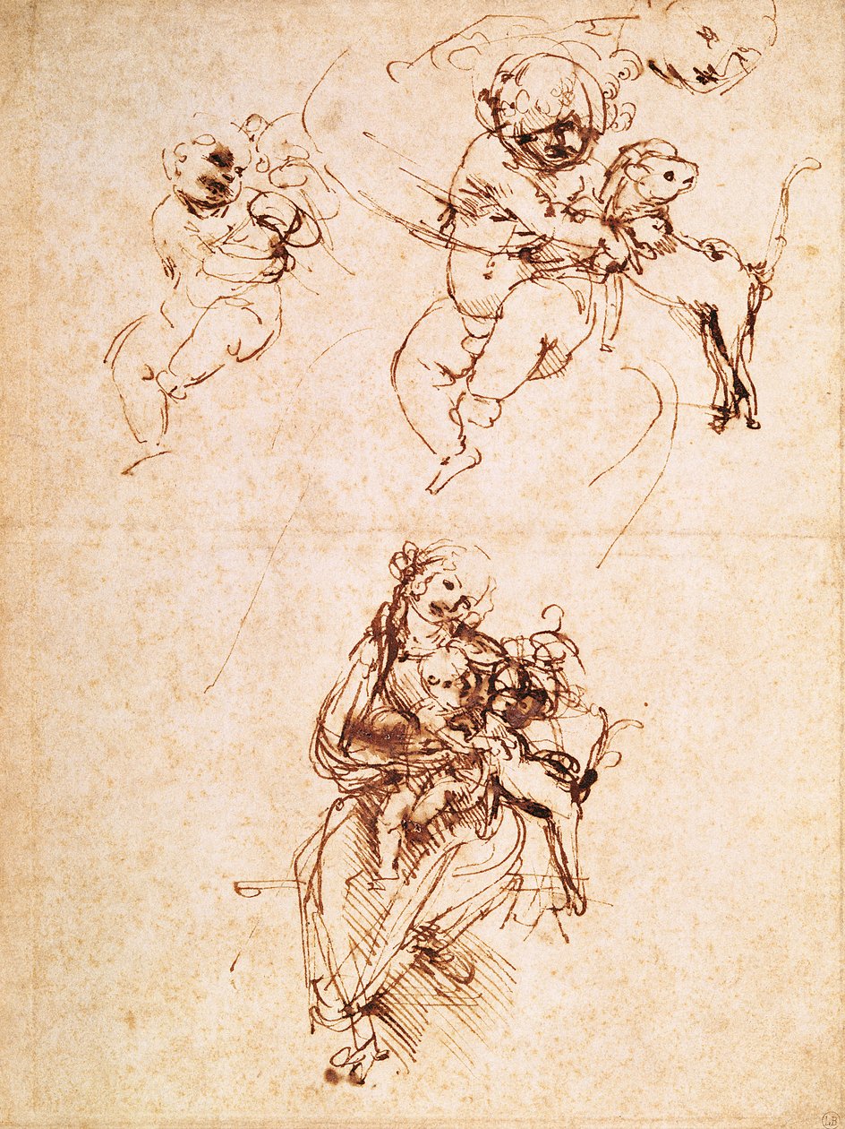 Kedili Madonna Çalışmaları, c.1478-80 (kağıt üzerinde kalem ve mürekkep) by Leonardo da Vinci