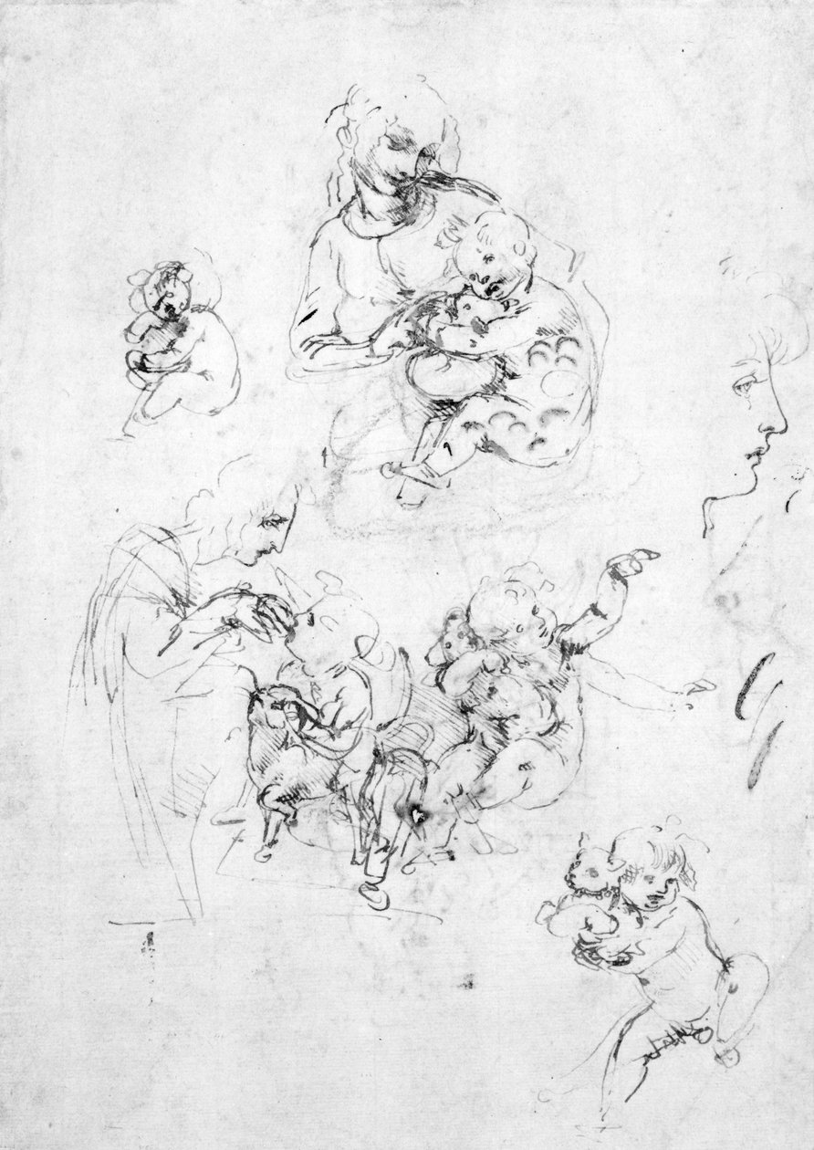 Kedili bir Madonna için çalışmalar, c.1478-80 (kağıt üzerine siyah tebeşir üzerine kalem ve mürekkep) by Leonardo da Vinci