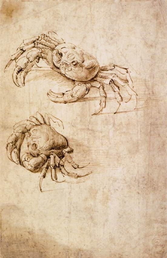 Yengeç çalışmaları by Leonardo da Vinci