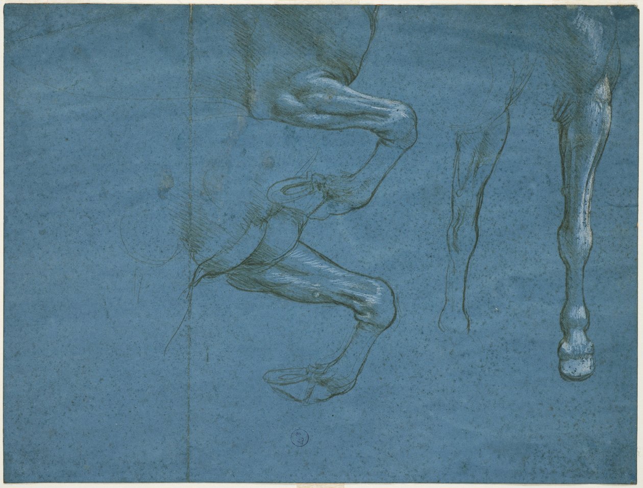 Atın ön ayaklarının incelenmesi, c. 1490 (mavi hazırlanmış kağıt üzerine metalik uç ve badana) by Leonardo da Vinci