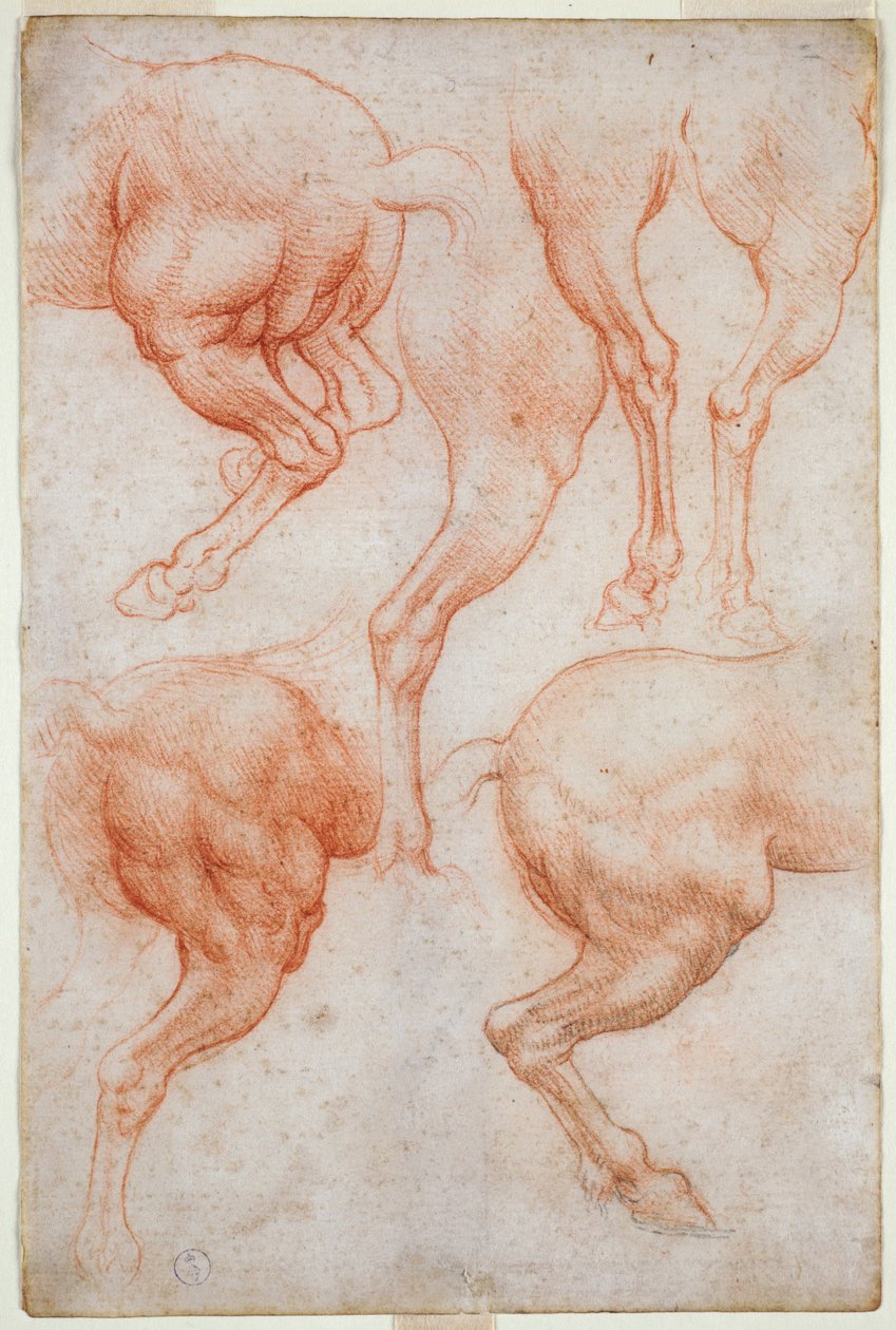 Atın arka bacaklarının incelenmesi, c. 1508 (kağıda kara kalem dokunuşlarıyla kan) by Leonardo da Vinci