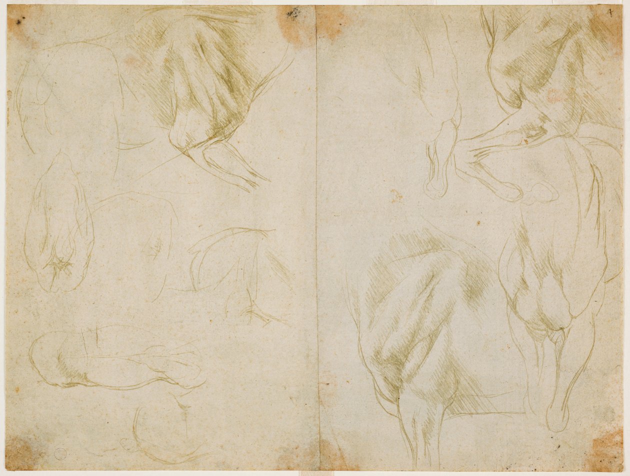Atın ön ayaklarının kas yapısı çalışmaları, c. 1480 (hazırlanmış açık zeytin yeşili kağıt üzerinde metal uç) by Leonardo da Vinci