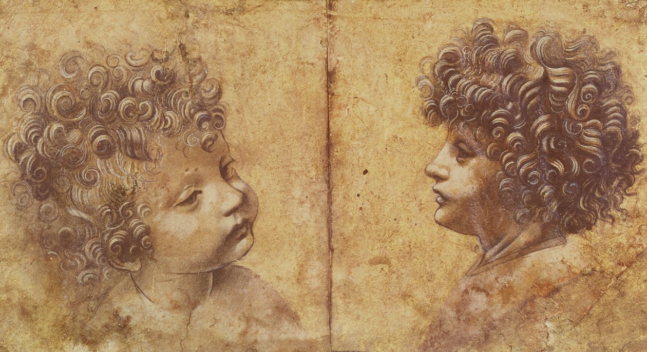 Bir çocuğun kafasının incelenmesi (kağıt üzerinde beyaz ile yükseltilmiş kırmızı tebeşir) by Leonardo da Vinci