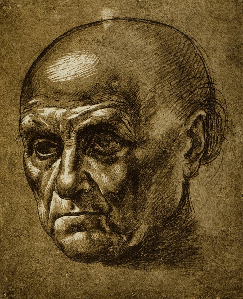 Bir erkek yüzünün incelenmesi; Leonardo da Vinci