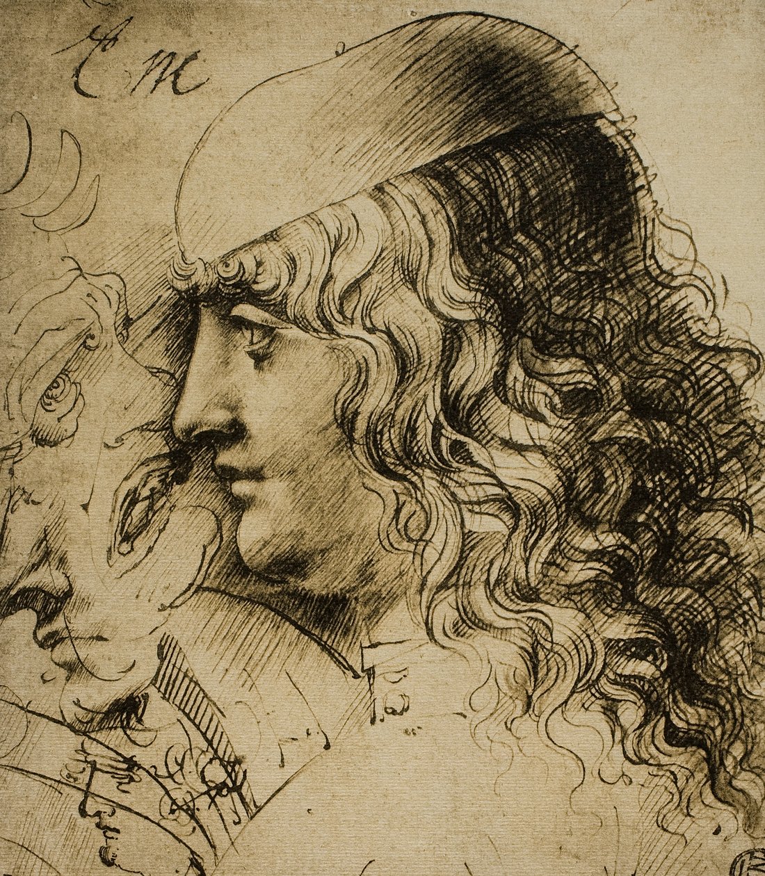 Erkeksi bir kafanın incelenmesi; Leonardo da Vinci
