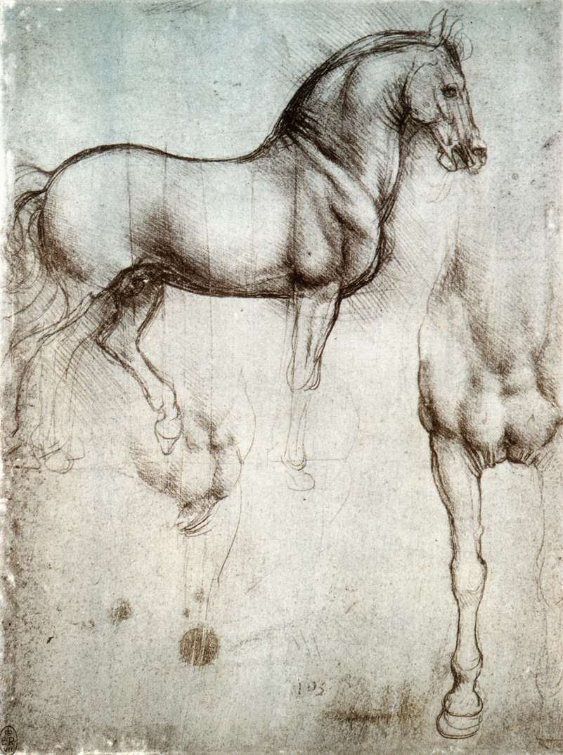 Atların incelenmesi by Leonardo da Vinci