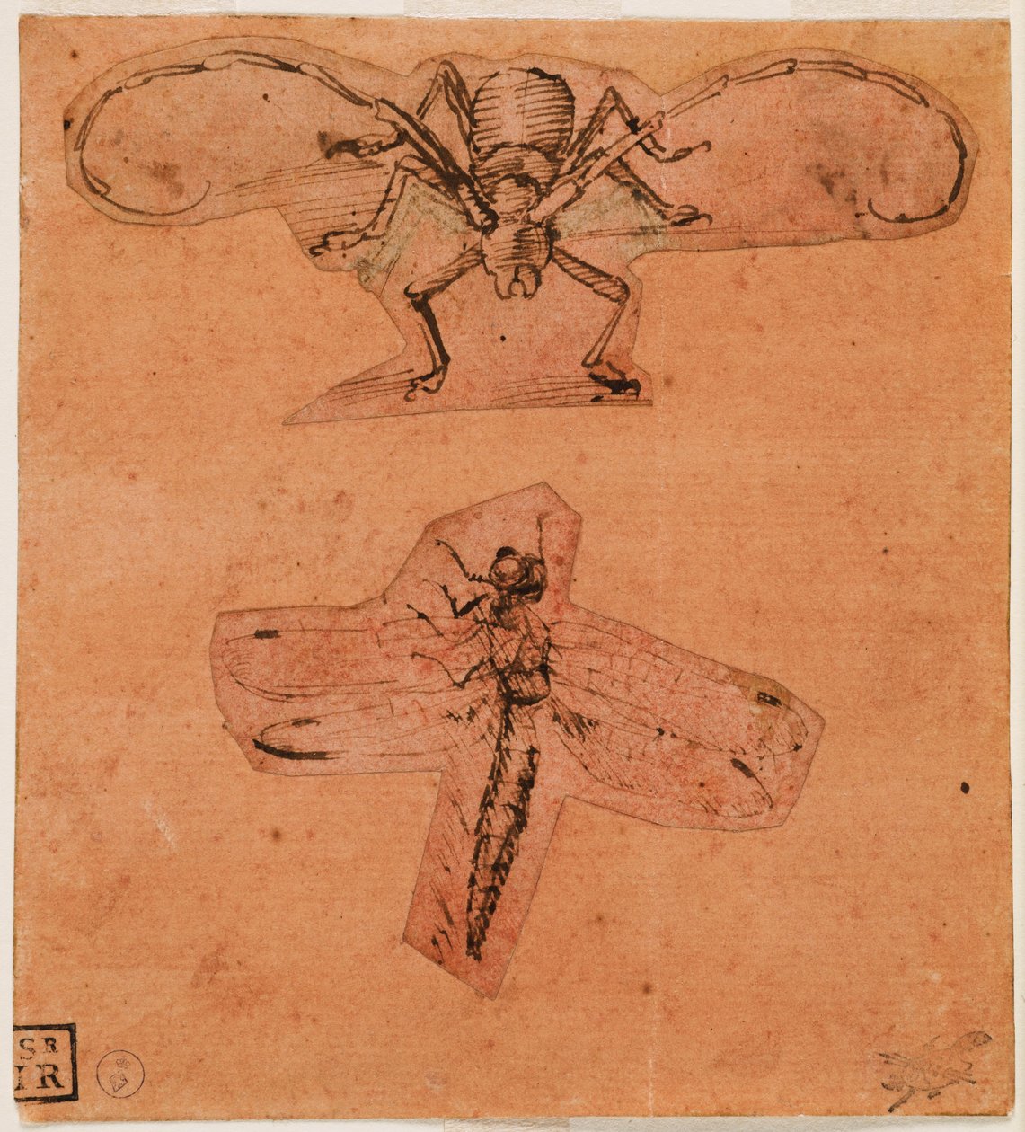 Böceklerin incelenmesi, c. 1480 (üst çizim) ve c. 1503-1505 (alt çizim) (hazırlanmış kırmızı kağıt üzerine kalem ve mürekkep, çizimler kesilip yapıştırılmış) by Leonardo da Vinci