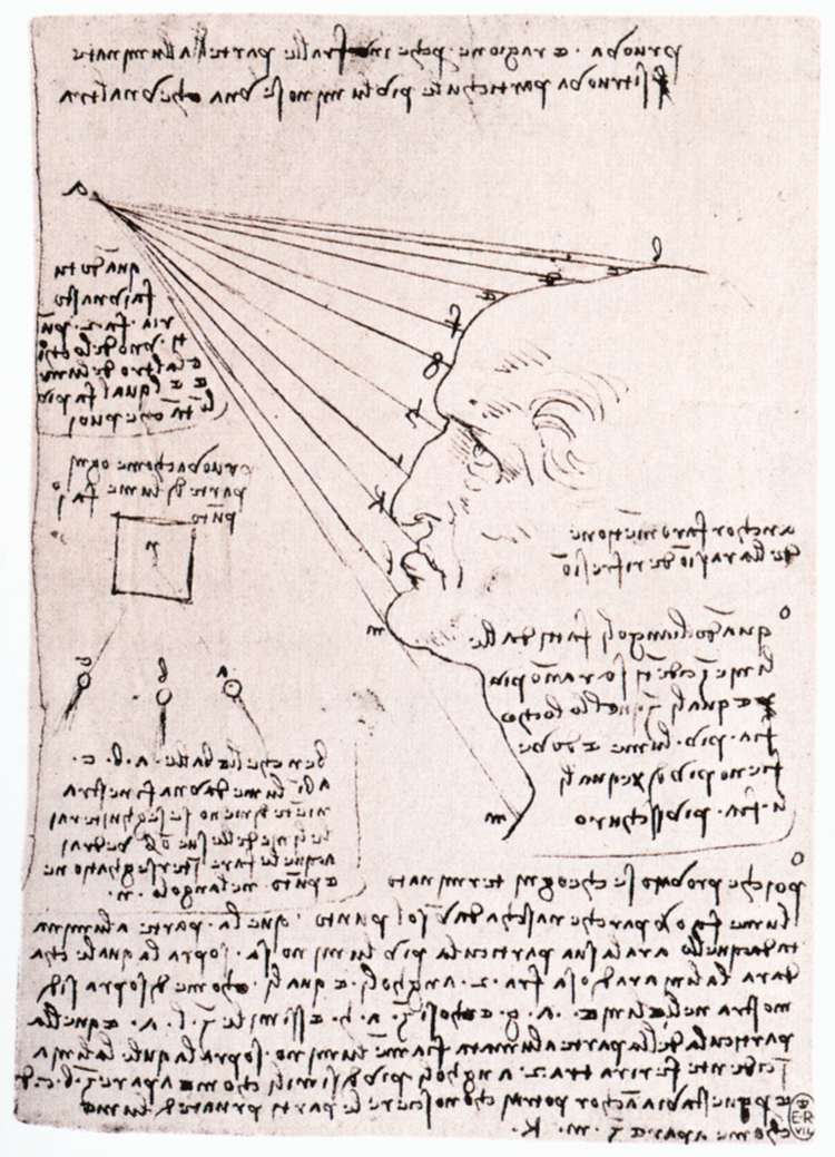 Işığın profil kafası üzerindeki etkisinin incelenmesi by Leonardo da Vinci