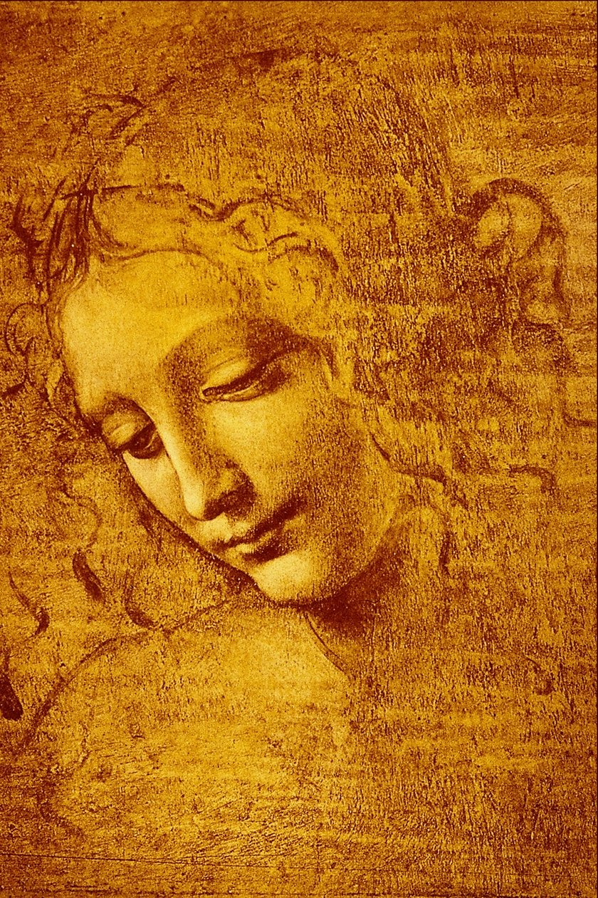 The Maiden adında bir Kızın Başkanı ... by Leonardo da Vinci