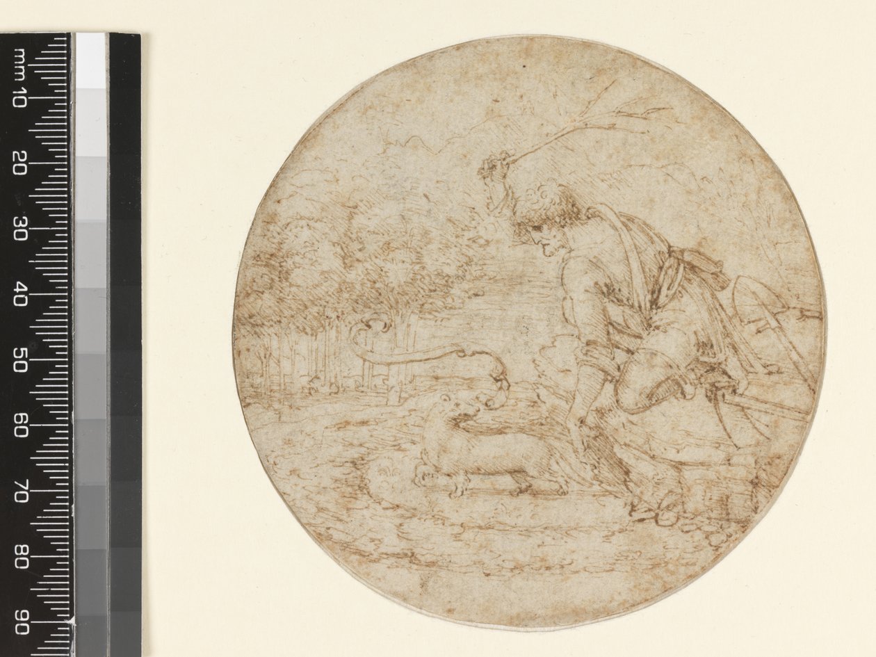 Saflığın Sembolü Olarak Ermin, c.1494 (kağıt üzerine siyah üzerine kalem ve kahverengi mürekkep) by Leonardo da Vinci