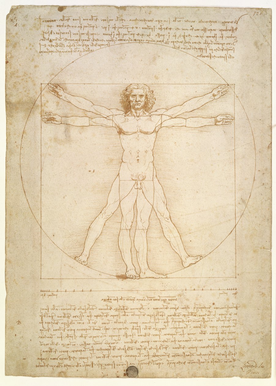 İnsan figürünün Oranları (Vitruvius