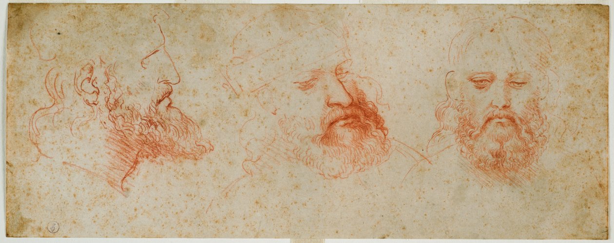 Sakallı erkeksi kafanın üç görünümü, c. 1502 (kağıt üzerinde kan) by Leonardo da Vinci